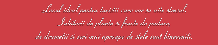 Pensiunea Anita