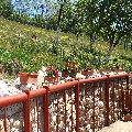 Pensiunea Anita